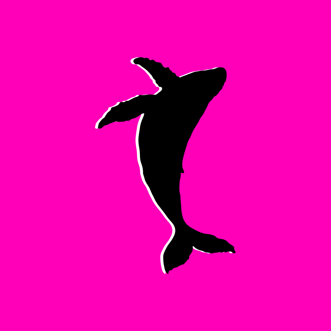 Aquatic & Ocean