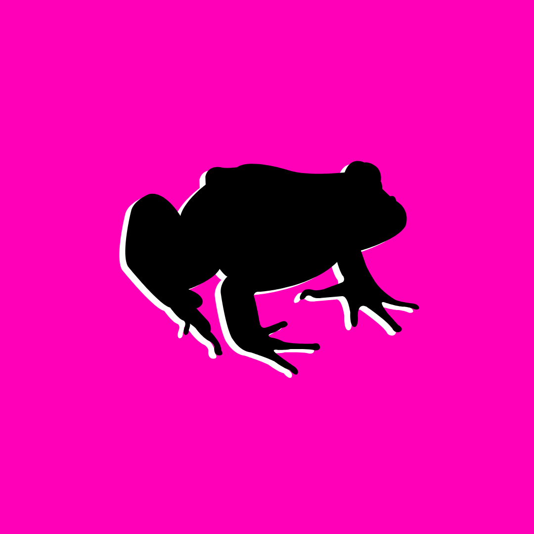 Reptiles & Amphibians