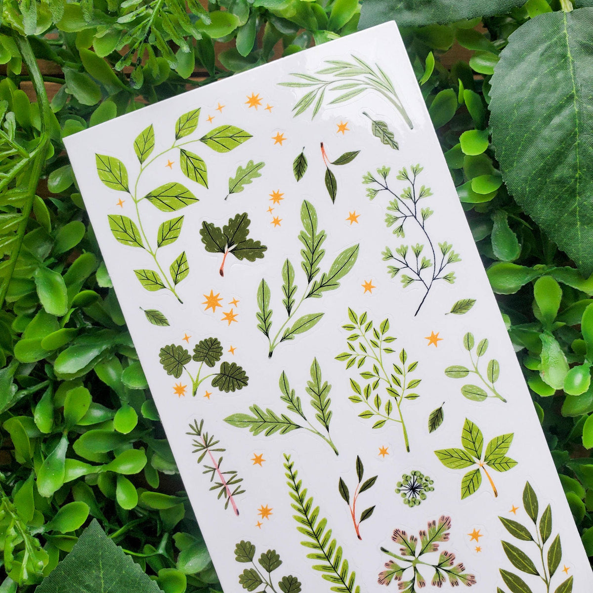 Lovely Leaves