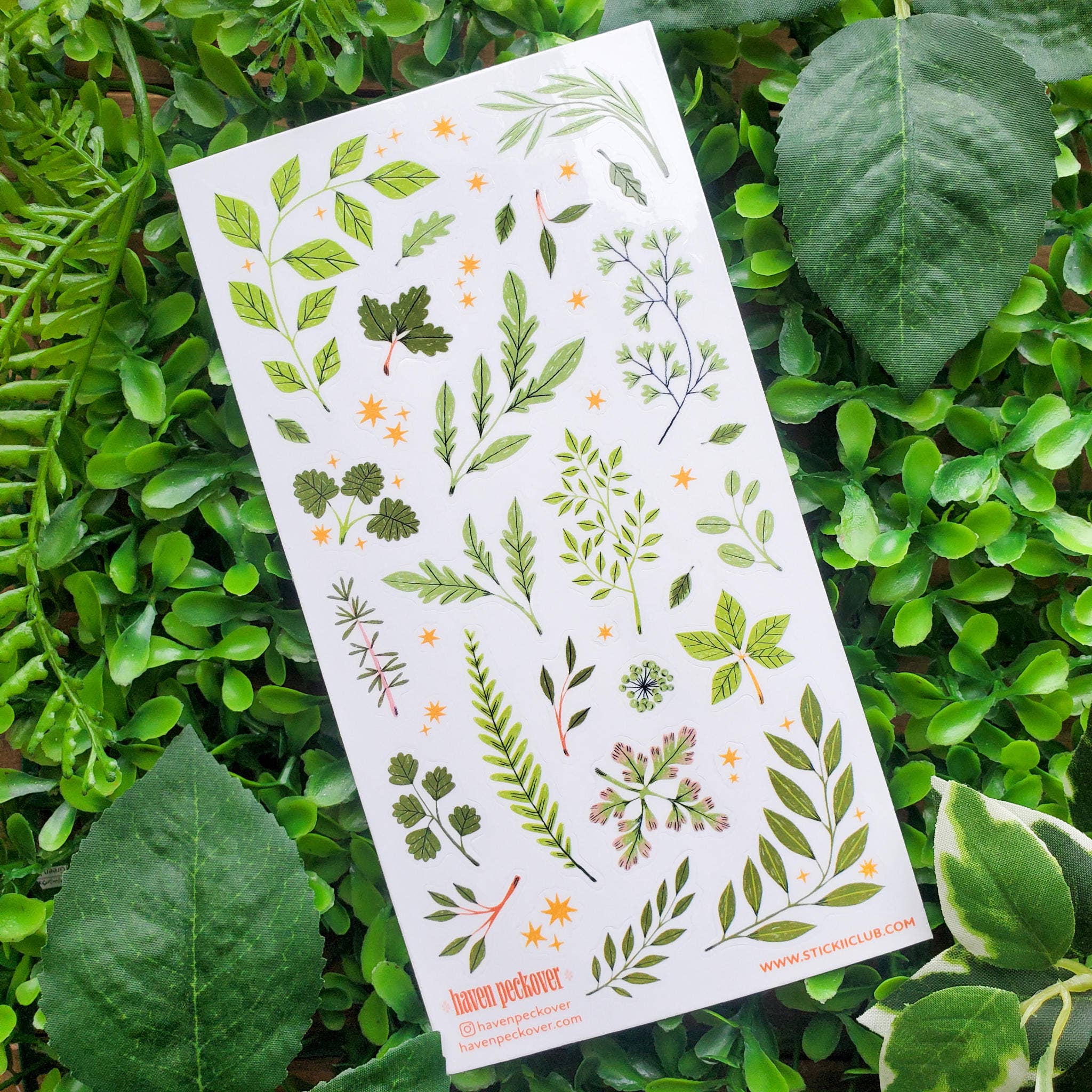 Lovely Leaves